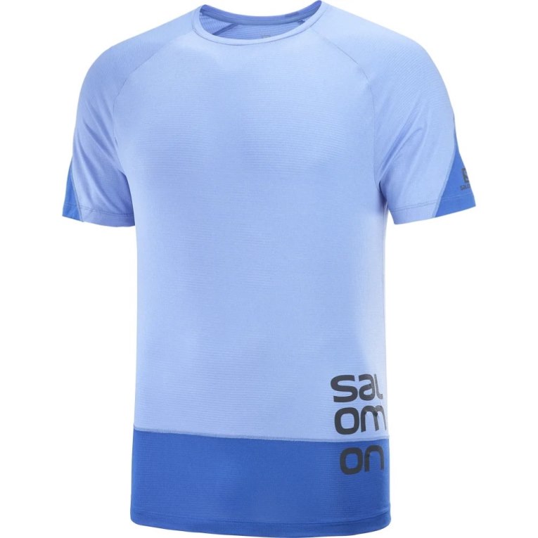 Blue Salomon Cross Run Graphic Short Sleeve Men's T-Shirts | PH 05916U